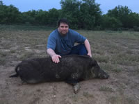 Meat Hog Hunts with professional hunting guide Dan Moody Hunting Services in Texas