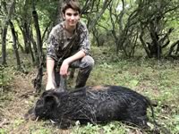 Meat Hog Hunts with professional hunting guide Dan Moody Hunting Services in Texas