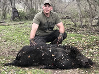 Meat Hog Hunts with professional hunting guide Dan Moody Hunting Services in Texas