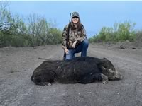 Meat Hog Hunts with professional hunting guide Dan Moody Hunting Services in Texas