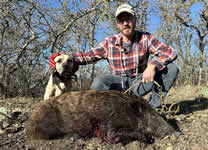 Meat Hog Hunts with professional hunting guide Dan Moody Hunting Services in Texas