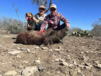 Meat Hog Hunts with professional hunting guide Dan Moody Hunting Services in Texas