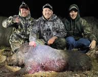 Meat Hog Hunts with professional hunting guide Dan Moody Hunting Services in Texas
