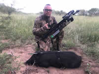 Meat Hog Hunts with professional hunting guide Dan Moody Hunting Services in Texas