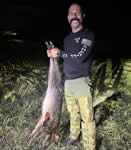 Meat Hog Hunts with professional hunting guide Dan Moody Hunting Services in Texas