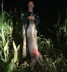 Meat Hog Hunts with professional hunting guide Dan Moody Hunting Services in Texas
