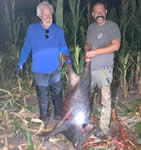 Meat Hog Hunts with professional hunting guide Dan Moody Hunting Services in Texas