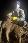Meat Hog Hunts with professional hunting guide Dan Moody Hunting Services in Texas