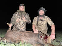 Meat Hog Hunts with professional hunting guide Dan Moody Hunting Services in Texas