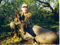 Nilgai Hunts with professional hunting guide Dan Moody Hunting Services in Texas
