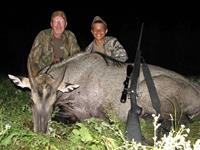Nilgai Hunts with professional hunting guide Dan Moody Hunting Services in Texas