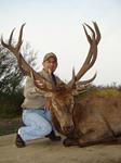 Red Stag Hunts with professional hunting guide Dan Moody Hunting Services in Texas