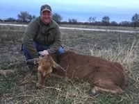 Red Stag Hunts with professional hunting guide Dan Moody Hunting Services in Texas