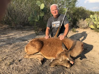 Red Stag Hunts with professional hunting guide Dan Moody Hunting Services in Texas