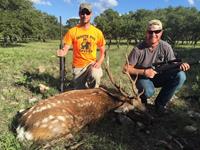 Sika Hunts with professional hunting guide Dan Moody Hunting Services in Texas
