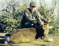 Sika Hunts with professional hunting guide Dan Moody Hunting Services in Texas