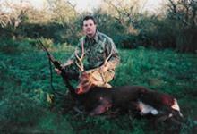 Sika Hunts with professional hunting guide Dan Moody Hunting Services in Texas