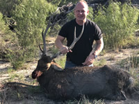 Sika Hunts with professional hunting guide Dan Moody Hunting Services in Texas