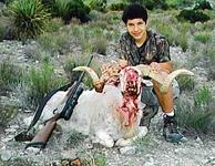 Texas Dall Hunts with professional hunting guide Dan Moody Hunting Services in Texas
