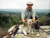 Texas Dall Hunts with professional hunting guide Dan Moody Hunting Services in Texas