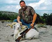 Texas Dall Hunts with professional hunting guide Dan Moody Hunting Services in Texas