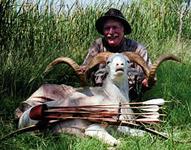 Texas Dall Hunts with professional hunting guide Dan Moody Hunting Services in Texas