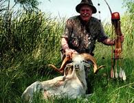 Texas Dall Hunts with professional hunting guide Dan Moody Hunting Services in Texas