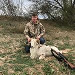 Texas Dall Hunts with professional hunting guide Dan Moody Hunting Services in Texas