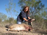 Texas Whitetail Hunts with professional hunting guide Dan Moody Hunting Services in Texas