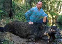 Trophy Boar Hunts with professional hunting guide Dan Moody Hunting Services in Texas