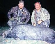 Trophy Boar Hunts with professional hunting guide Dan Moody Hunting Services in Texas