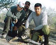 Trophy Boar Hunts with professional hunting guide Dan Moody Hunting Services in Texas