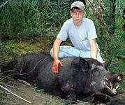 Trophy Boar Hunts with professional hunting guide Dan Moody Hunting Services in Texas