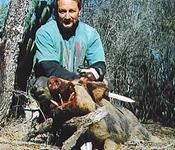 Trophy Boar Hunts with professional hunting guide Dan Moody Hunting Services in Texas