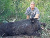 Trophy Boar Hunts with professional hunting guide Dan Moody Hunting Services in Texas