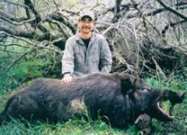 Trophy Boar Hunts with professional hunting guide Dan Moody Hunting Services in Texas