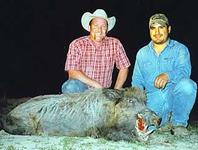 Trophy Boar Hunts with professional hunting guide Dan Moody Hunting Services in Texas