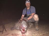 Trophy Boar Hunts with professional hunting guide Dan Moody Hunting Services in Texas