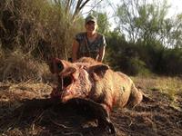 Trophy Boar Hunts with professional hunting guide Dan Moody Hunting Services in Texas
