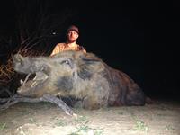 Trophy Boar Hunts with professional hunting guide Dan Moody Hunting Services in Texas