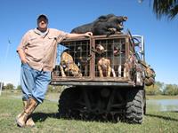Trophy Boar Hunts with professional hunting guide Dan Moody Hunting Services in Texas