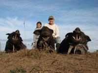 Trophy Boar Hunts with professional hunting guide Dan Moody Hunting Services in Texas