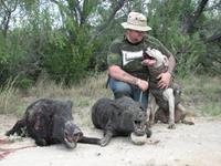 Trophy Boar Hunts with professional hunting guide Dan Moody Hunting Services in Texas