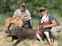 Trophy Boar Hunts with professional hunting guide Dan Moody Hunting Services in Texas