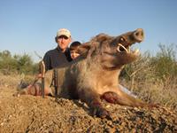 Trophy Boar Hunts with professional hunting guide Dan Moody Hunting Services in Texas