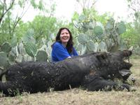 Trophy Boar Hunts with professional hunting guide Dan Moody Hunting Services in Texas