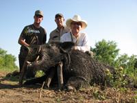 Trophy Boar Hunts with professional hunting guide Dan Moody Hunting Services in Texas