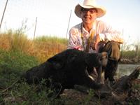 Trophy Boar Hunts with professional hunting guide Dan Moody Hunting Services in Texas