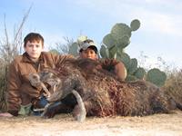 Trophy Boar Hunts with professional hunting guide Dan Moody Hunting Services in Texas
