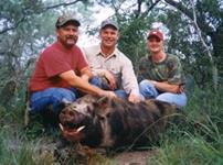 Trophy Boar Hunts with professional hunting guide Dan Moody Hunting Services in Texas